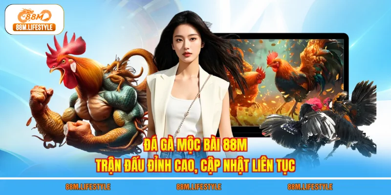 Đá gà Mộc Bài