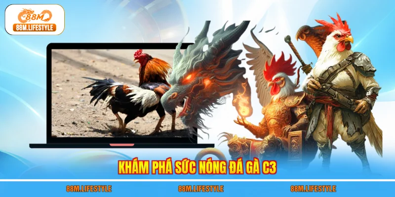 Khám phá sức nóng đá gà c3