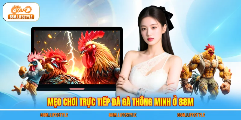 Mẹo chơi trực tiếp đá gà thông minh ở 88M