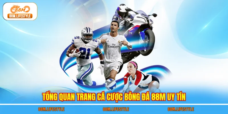 Tổng quan trang cá cược bóng đá 88M uy tín